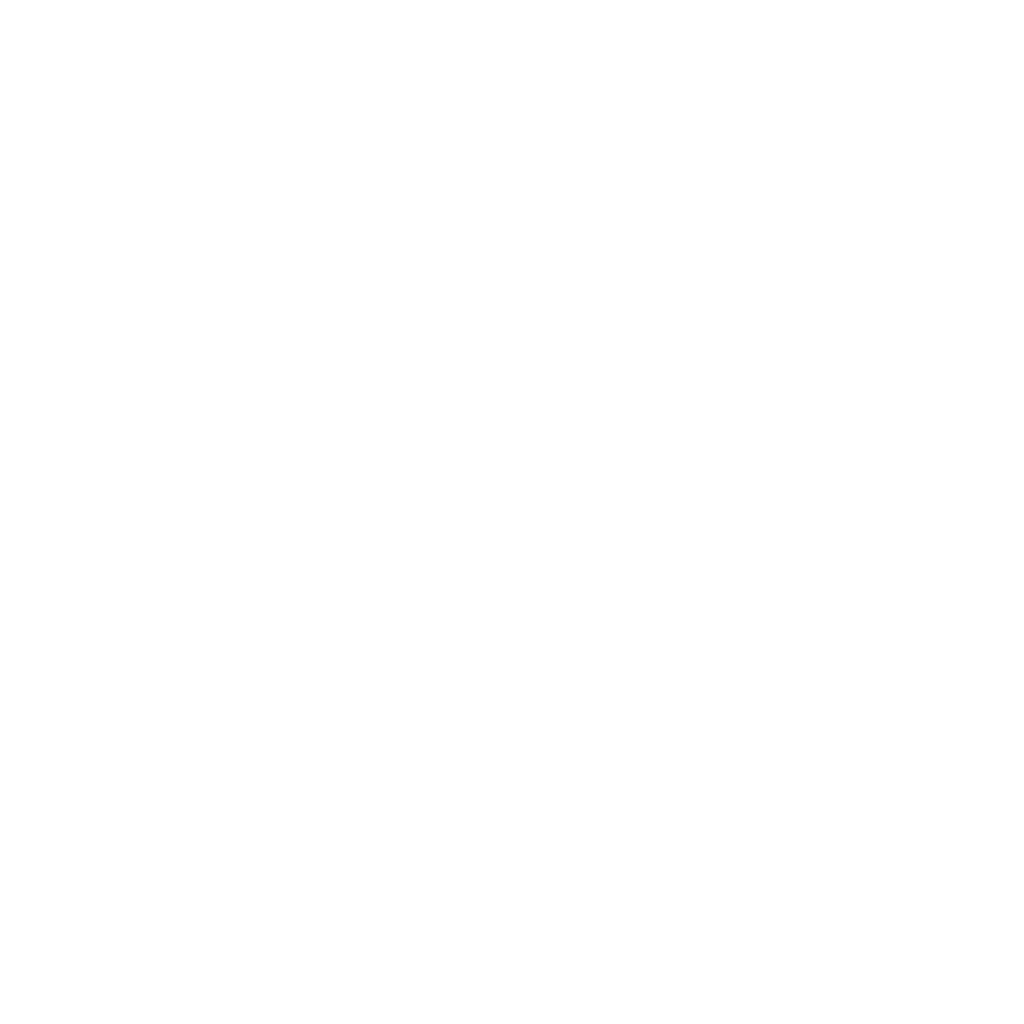 partner 1.png